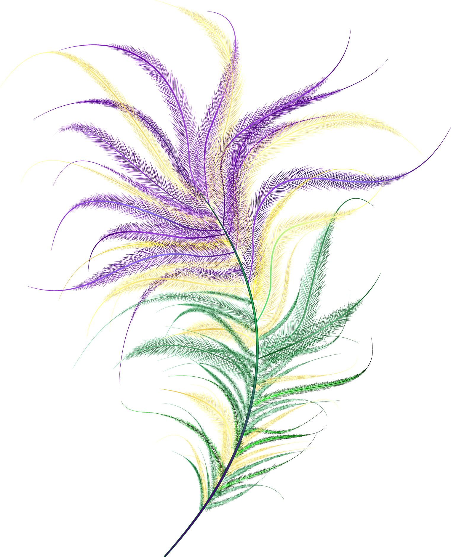 Ostrich Feather Mardi Gras